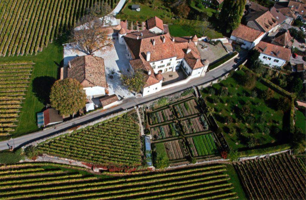 Chateau Le Rosey Hotel Nyon Exterior photo
